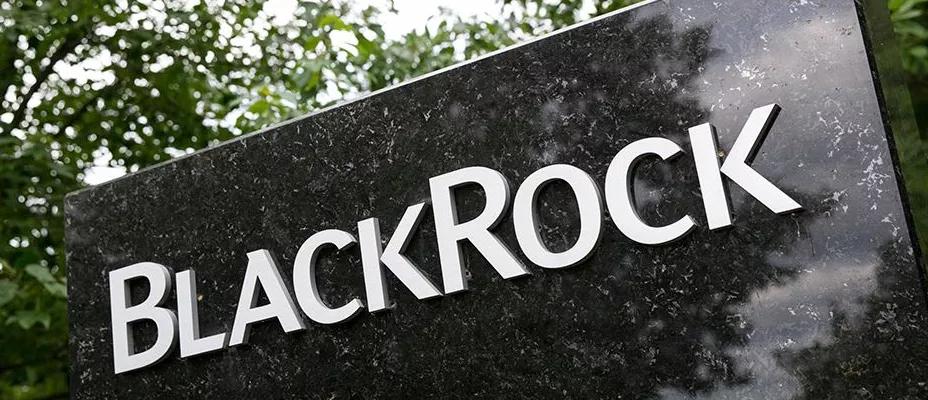 全球最大资产管理公司贝莱德比特币或将演变成全球市场资产