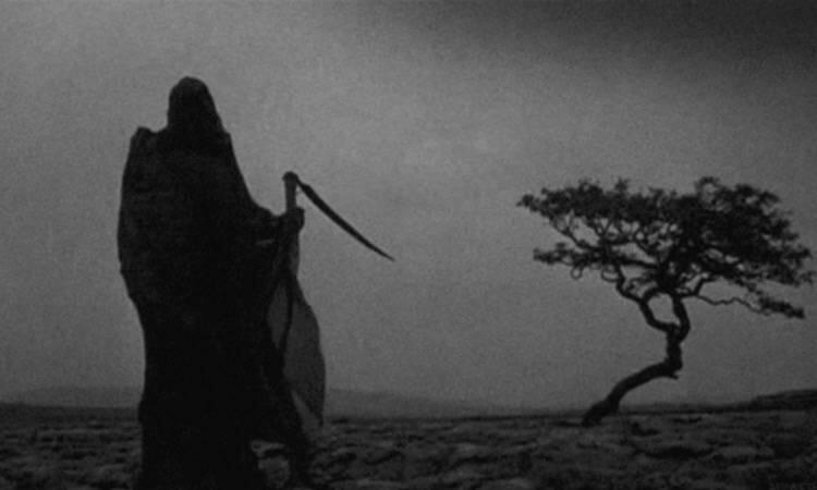 底线复合金融在德菲跑路的恶性案件中,项目方收获了1200多万美元 底线复合金融在德菲跑路的恶性案件中,项目方收获了1200多万美元