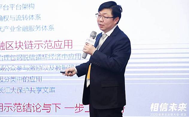 长江工业研究院雷天钊：区块链为数据服务系统带来诸多优势|世界区块链大会·武汉