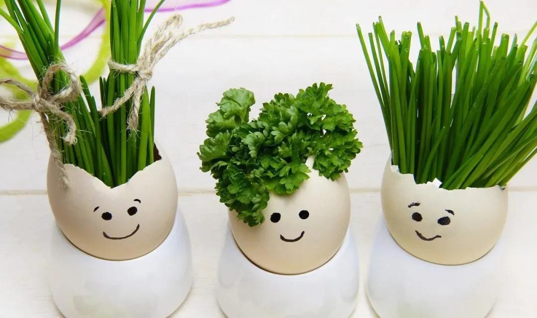 在defi无休止的快速进化中，飞涨的算法稳定的货币只是少数人的狂欢吗？1