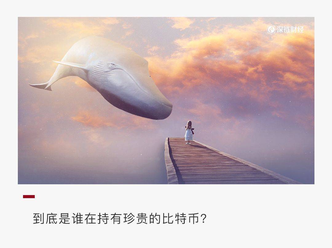 看比特币鲸鱼：这23家机构持有88万比特币