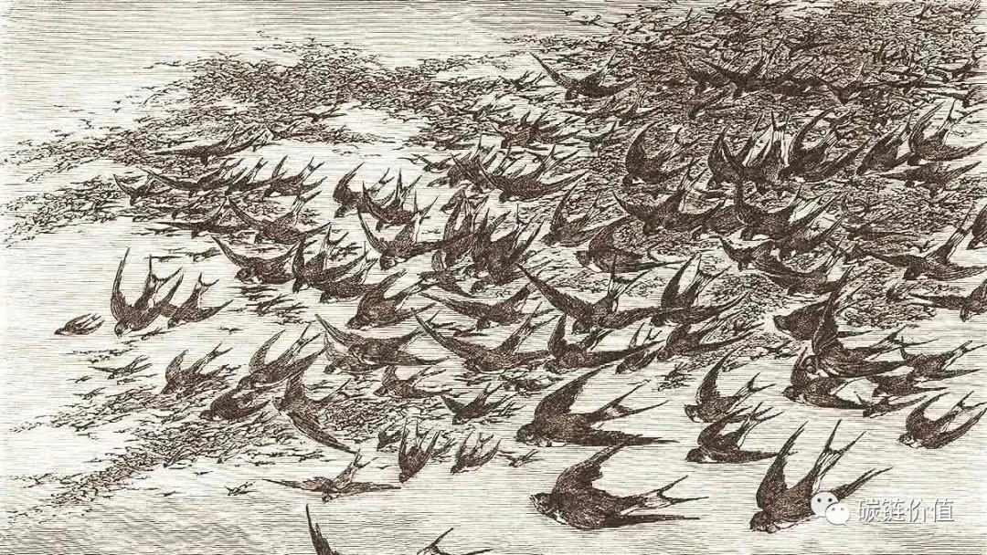 星展银行攻击货币市场：数字货币兑换如何对抗？