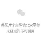 散列派:熊攻击,小心2 散列派:熊攻击,小心2