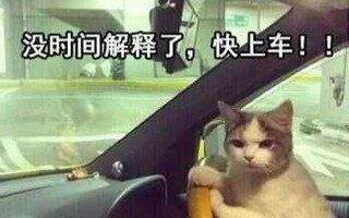 本文将带您了解两代算法的稳定硬币谱系