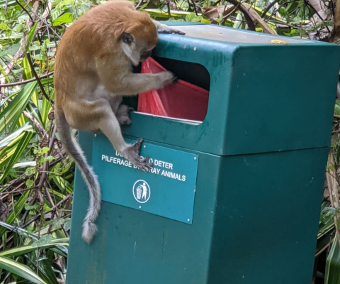 Vitalik2020得出结论：加密货币将在一个复杂的世界中蓬勃发展