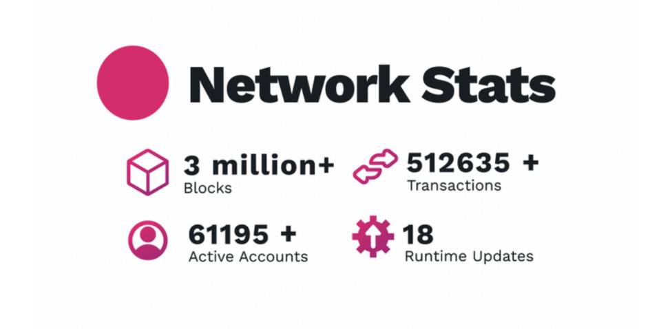 数字波卡2020进展：数百条链路准备就绪，60多个测试网络已经启动1