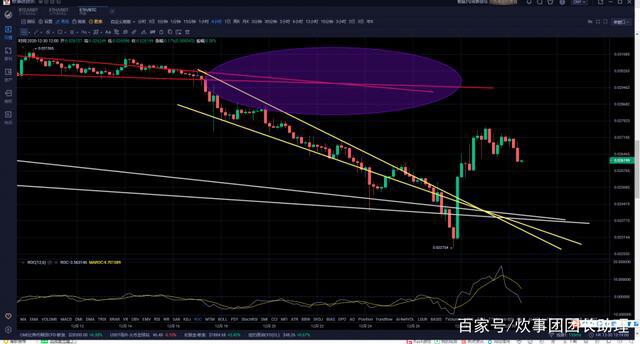 新增14万亿发行或将比特币转型成巨齿鲨1