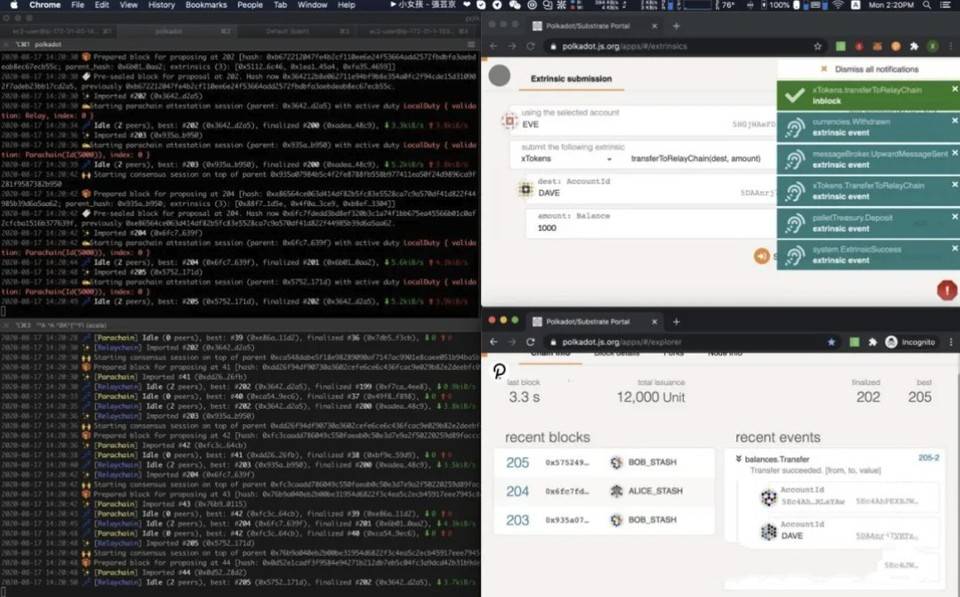 加文·伍德总结了博卡2020的生态进展：2600多家开发商和200多个项目获得资助