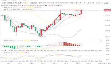币之尊：12.15思路布局