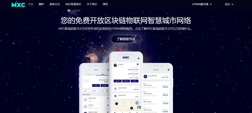 “准备行动”平行链拍卖：博卡平行链槽拍卖项目概述12