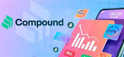 2020年最重要的公司和项目：谁在深刻影响加密数字资产市场？5