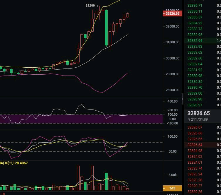 1.3比特币市场分析及运营建议 1.3比特币市场分析及运营建议