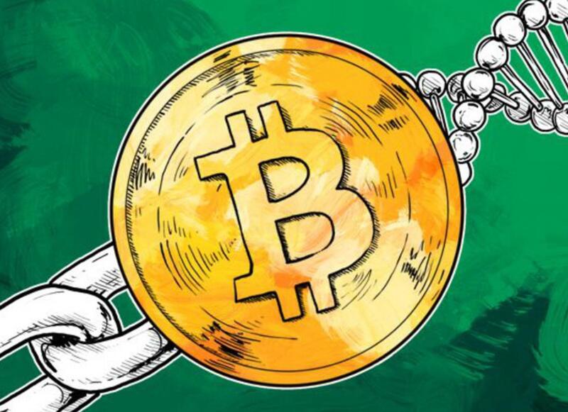 什么是比特币鲸鱼？倒计时比特币的忠实支持者