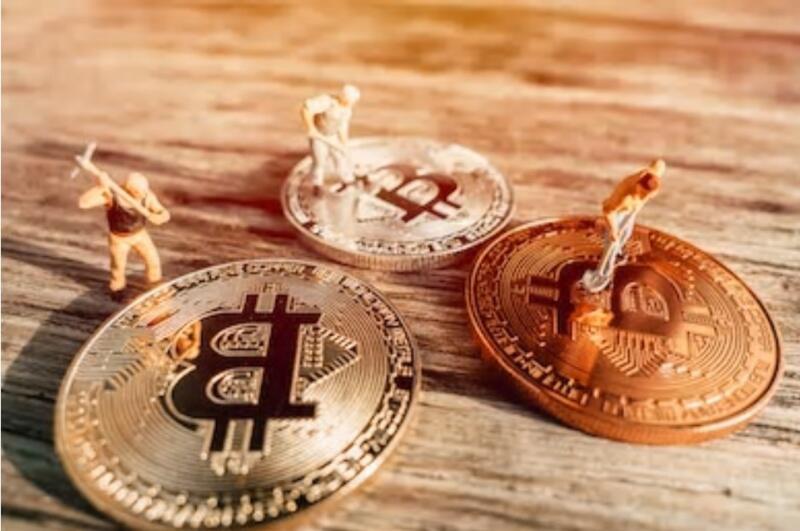 什么是比特币鲸鱼？倒计时比特币的忠实支持者1