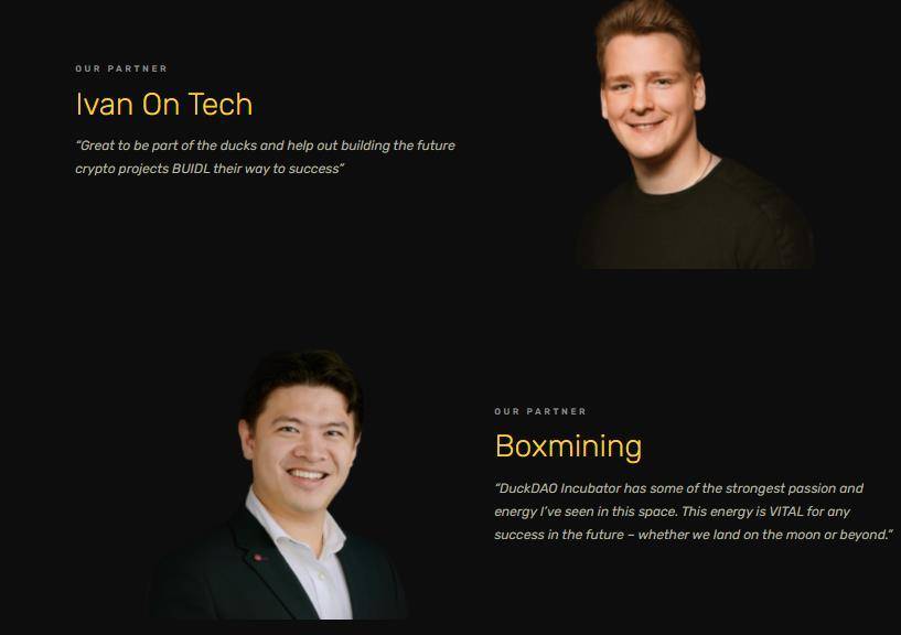 大众小鸭鸭刀能否改变硬币圈早期的投资方式？1