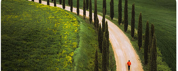 我的投资经历:追根究底 我的投资经历:追根究底