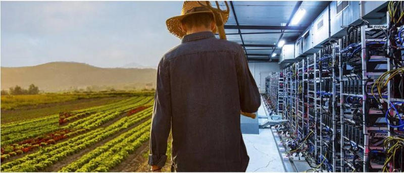 算法稳定的货币，狂野的美联储，正在走向疯狂1