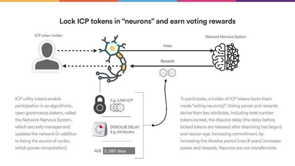 Dominic Williams 详述互联网计算机本质特征与 DFINITY 规划35