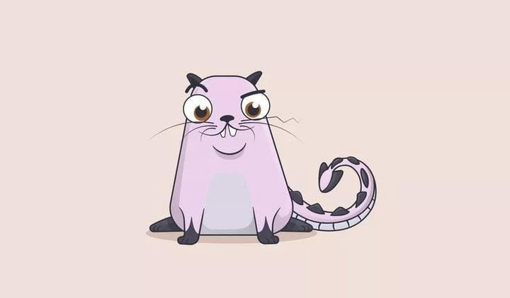 NFT，2021年加密市场最大的风？4