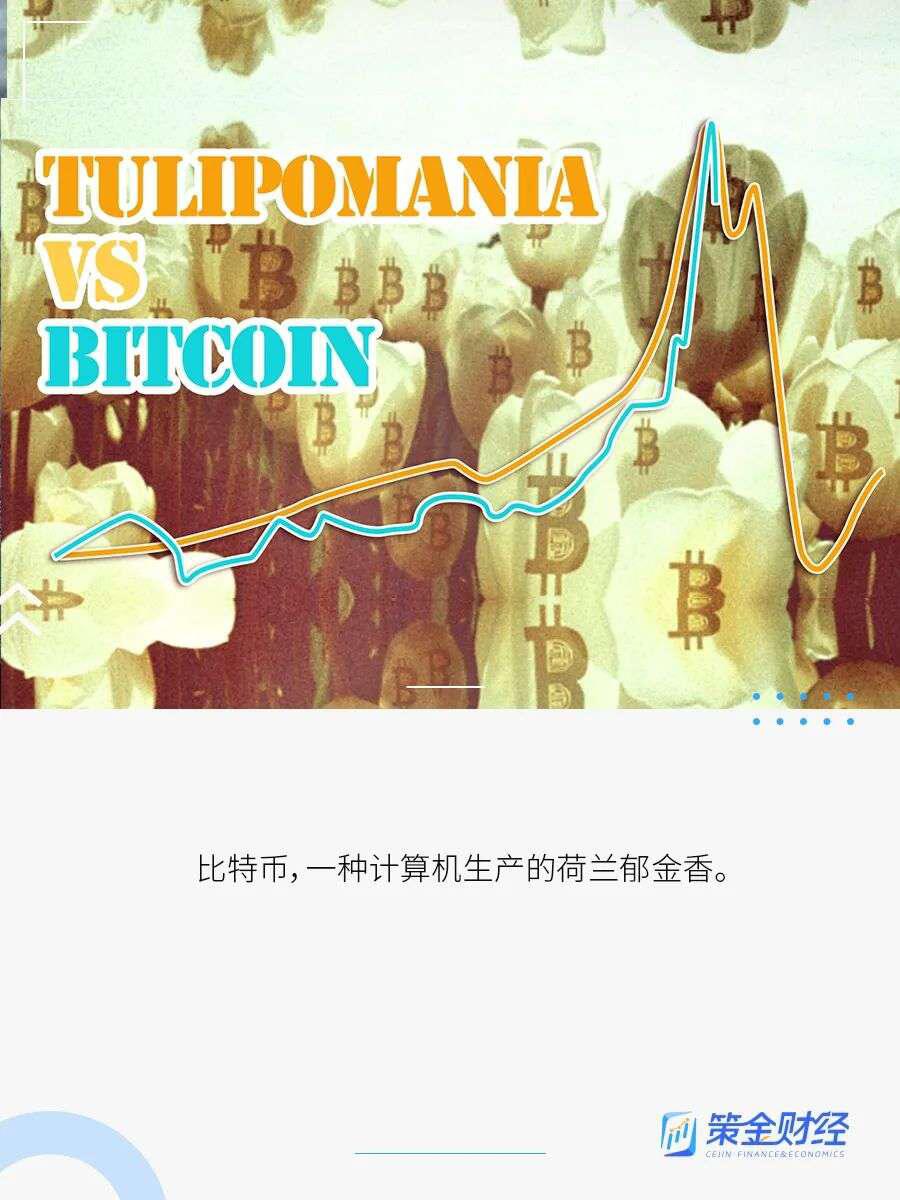 比特币，下一个郁金香泡沫？