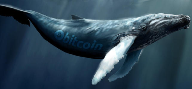 比特币鲸鱼出海？