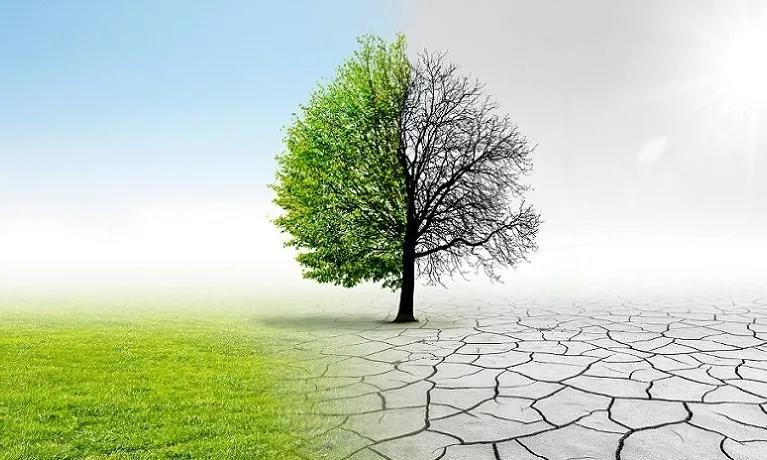 如何为defi的未来融资：通胀、融资、激励相容还是公平起步？2