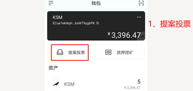 爸爸级课程：波尔卡多特/草间矿业与投票10