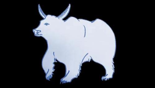 一套房一枚硬币？比特币并不比特斯拉好2