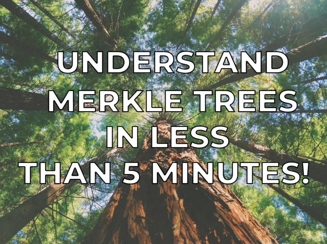 科普 | 5分钟内了解默克尔树