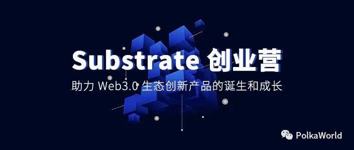 盘点 17 个准备竞拍波卡/Kusama 平行链的项目2