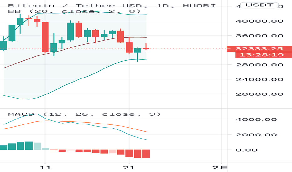 比特币牛市，我建议你去山上