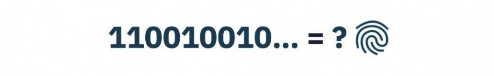 本文探讨了CID的起源和发展1