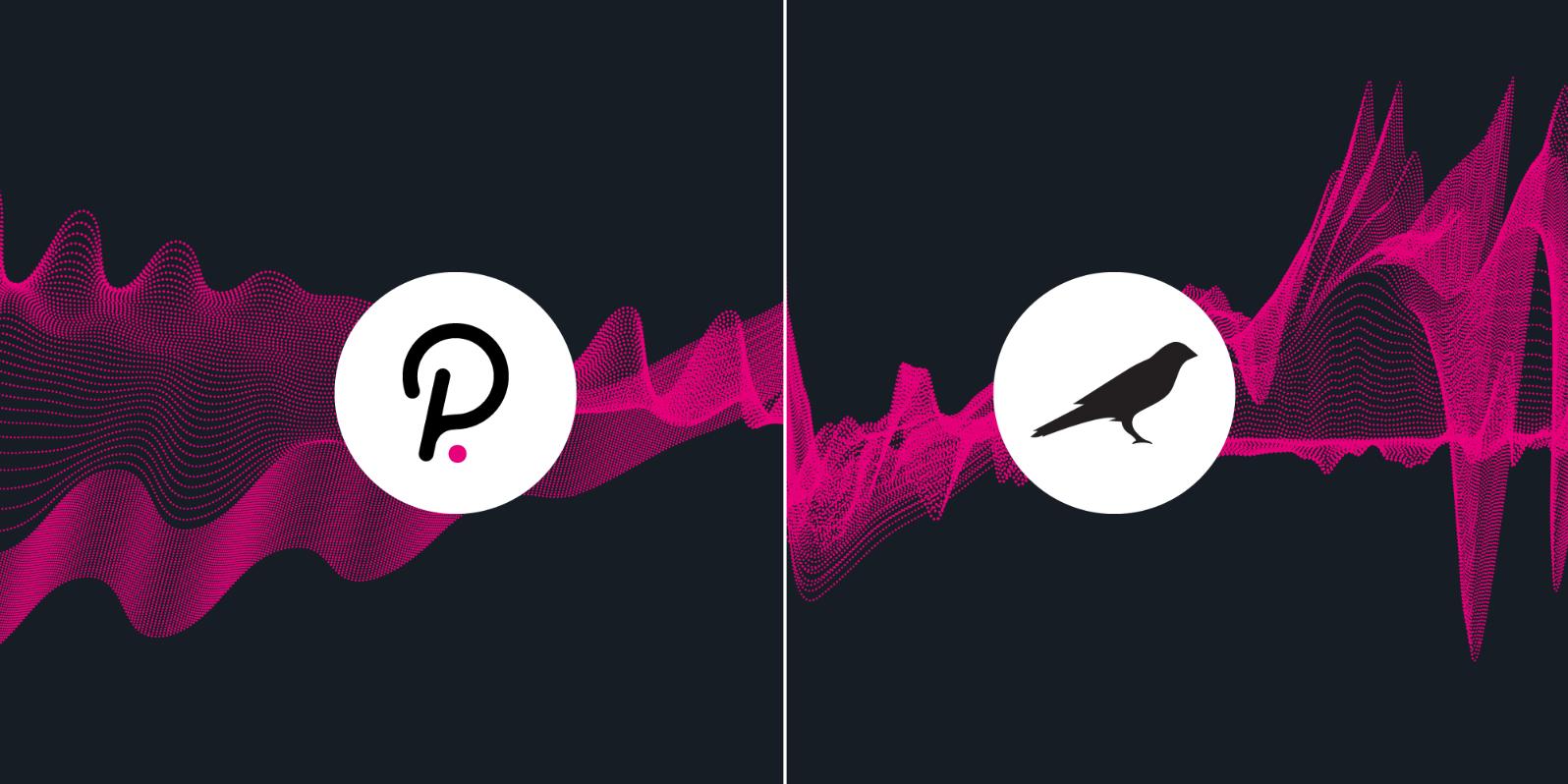 昆舒点评：圆点大规模解锁在即，未来的发展方向是什么？