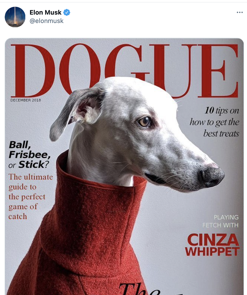 狗狗币“一战封神”，市值升至第9位