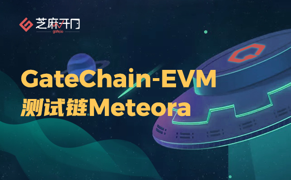 gatechanevm测试链是一个官方的公共测试