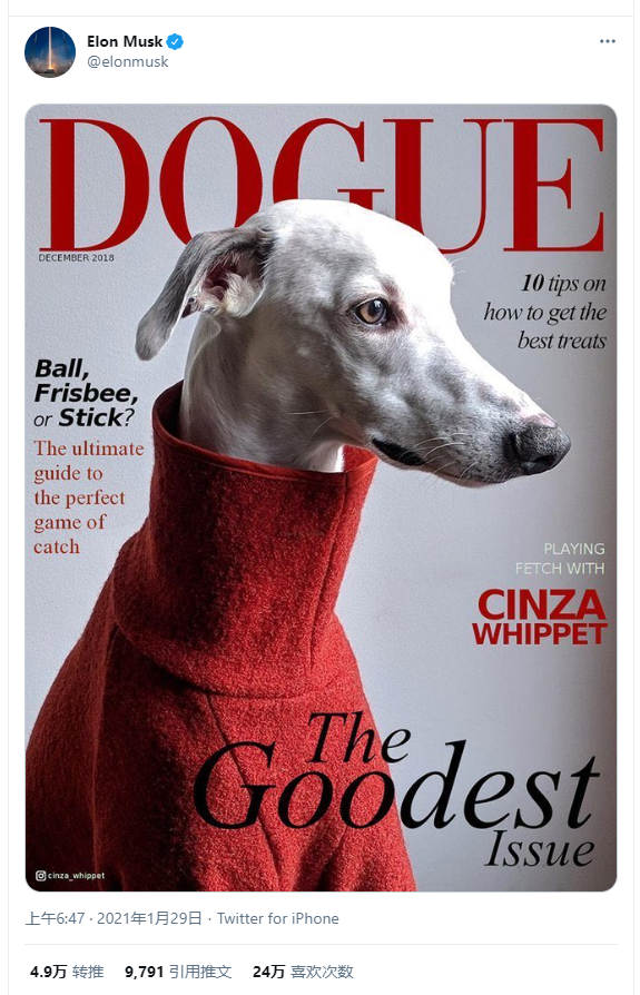 疯狗钱：一夜之间涨了4倍。发生什么事？6