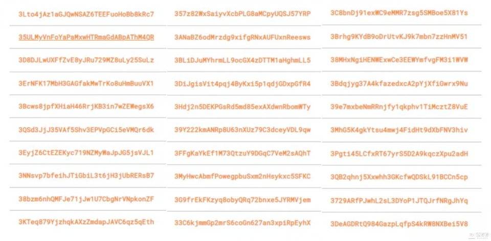 比特币鲸鱼的三维搜索：谁是这波巨浪背后的最大赢家？6