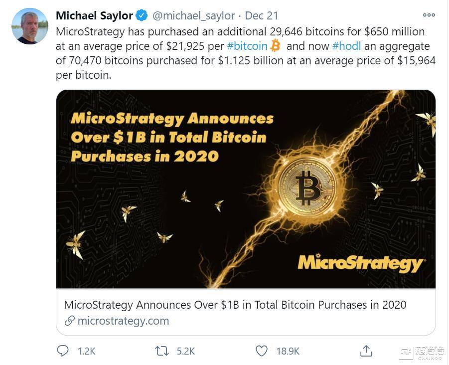 比特币鲸鱼的三维搜索：谁是这波巨浪背后的最大赢家？9