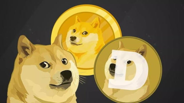 币狗行情(狗币近期走势)