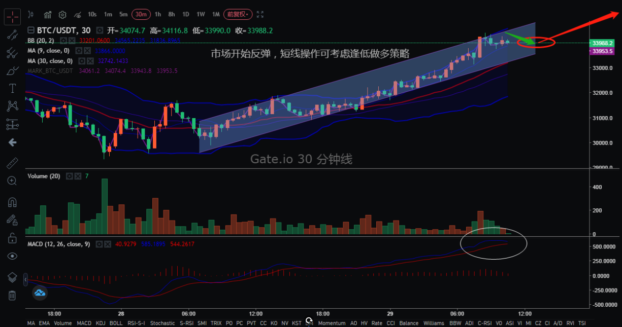 【合约日报】涨了6倍！谁是狗的下一个恶魔硬币？6