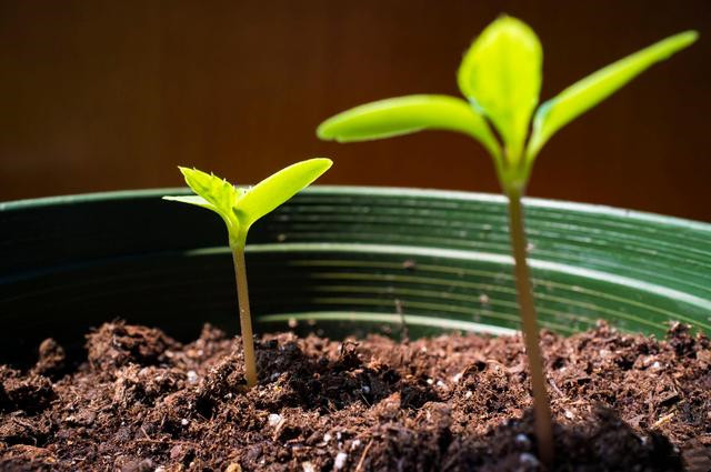 比特币突破3.4万美元后，流动性开始匮乏，将会出现大幅回调吗？4