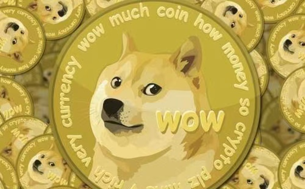 Is doge coin worth investment in (Is doge coin worth investment in 2021)