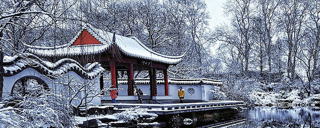 加密货币投资市场，如何跟风？