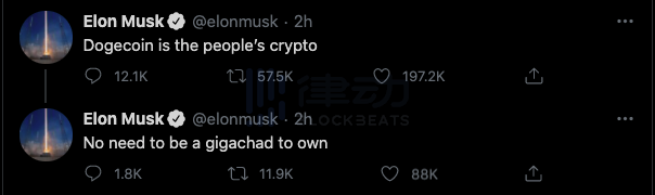 加密喊单一哥：伊隆·马斯克5