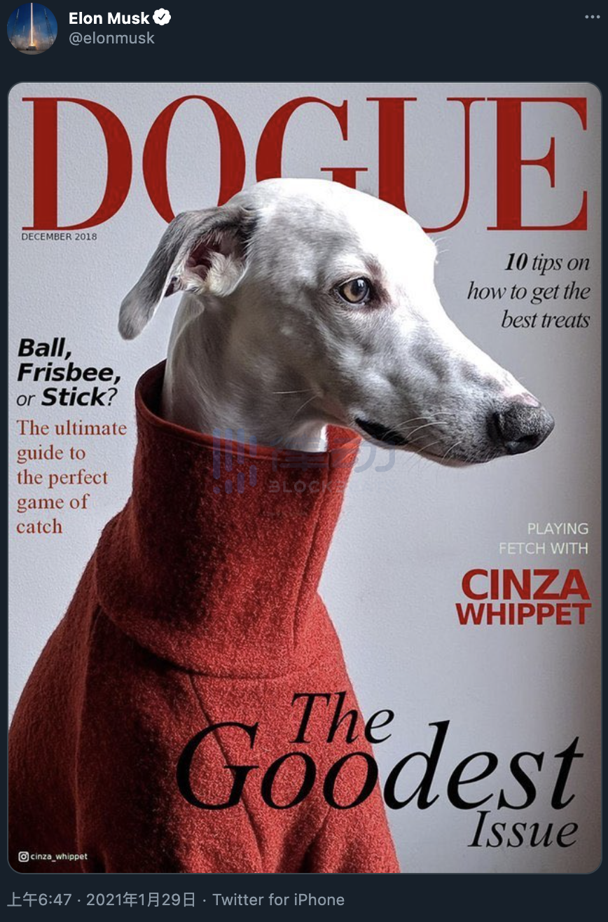 哥哥：伊隆·马斯克1