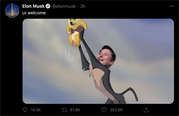 哥哥：伊隆·马斯克4