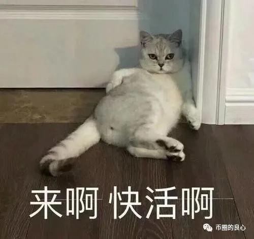 18天回到这里,就是投币圈的低价购物团1 18天回到这里,就是投币圈的低价购物团1