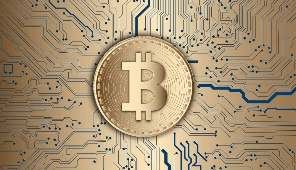 比特币的价格不停地上下波动！成为“专业韭菜收割机”，锐减至11万人2