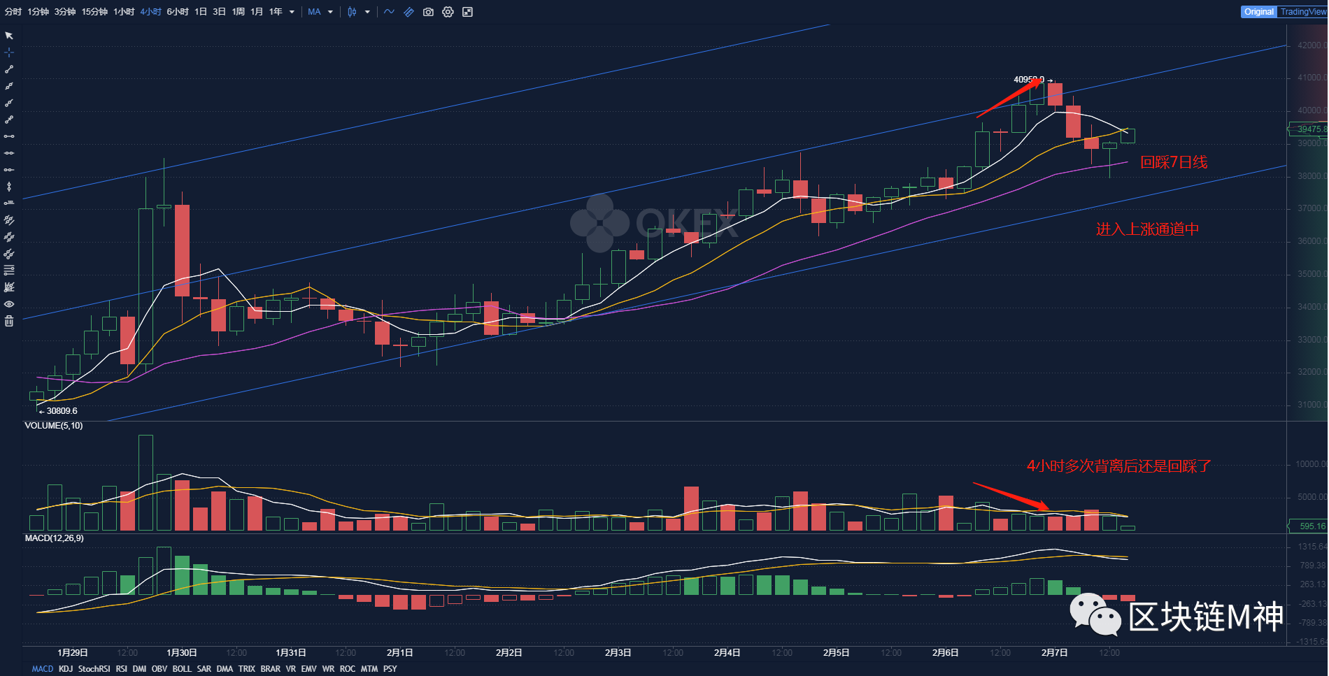 BTC资金吸血回流，部分龙头山寨币依旧强悍