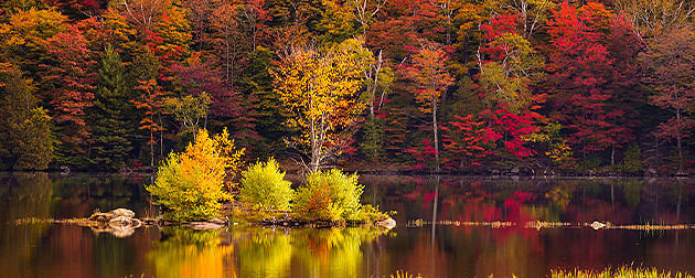 我为什么不做“高抛低吸”? 我为什么不做“高抛低吸”?